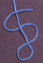 Stevedore Knot